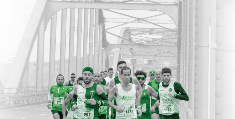 Corredores Verdes na Ponte